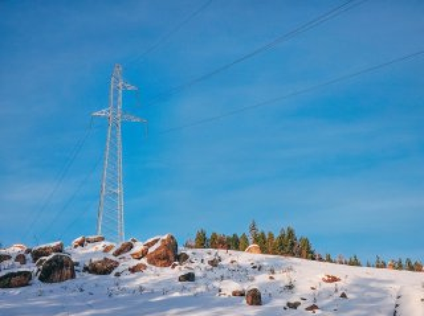 Сибирский филиал ПАО «Россети» обеспечил защиту птиц на ключевом энерготранзите Забайкалья